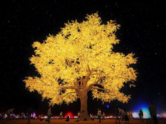 Tree of Ténéré - LED Lighting