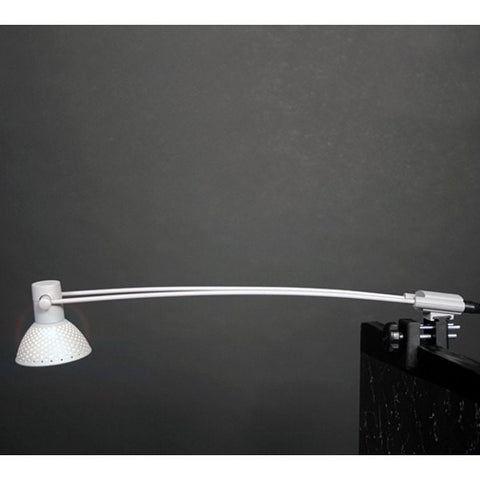 TSJ Lumina 8 Light Mounted