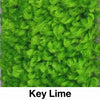 Key Lime eco-friendly 28 oz. carpet tile color swatch — labeled