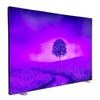 Igniter Flow-Motion® 118″ × 90″ Animated LED Backlit Display — vendor product photo 5