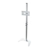Spennare MS-S-10 Monitor Stand (Up to 42" Monitor)