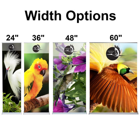 Cascade Banner Stand Size Options