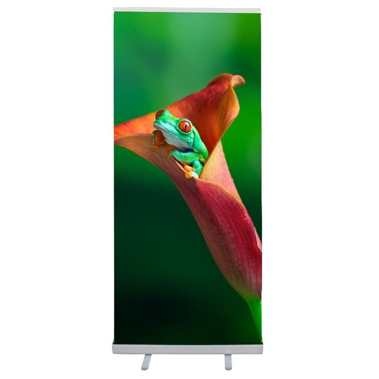 Economy Retractable Banner Stand